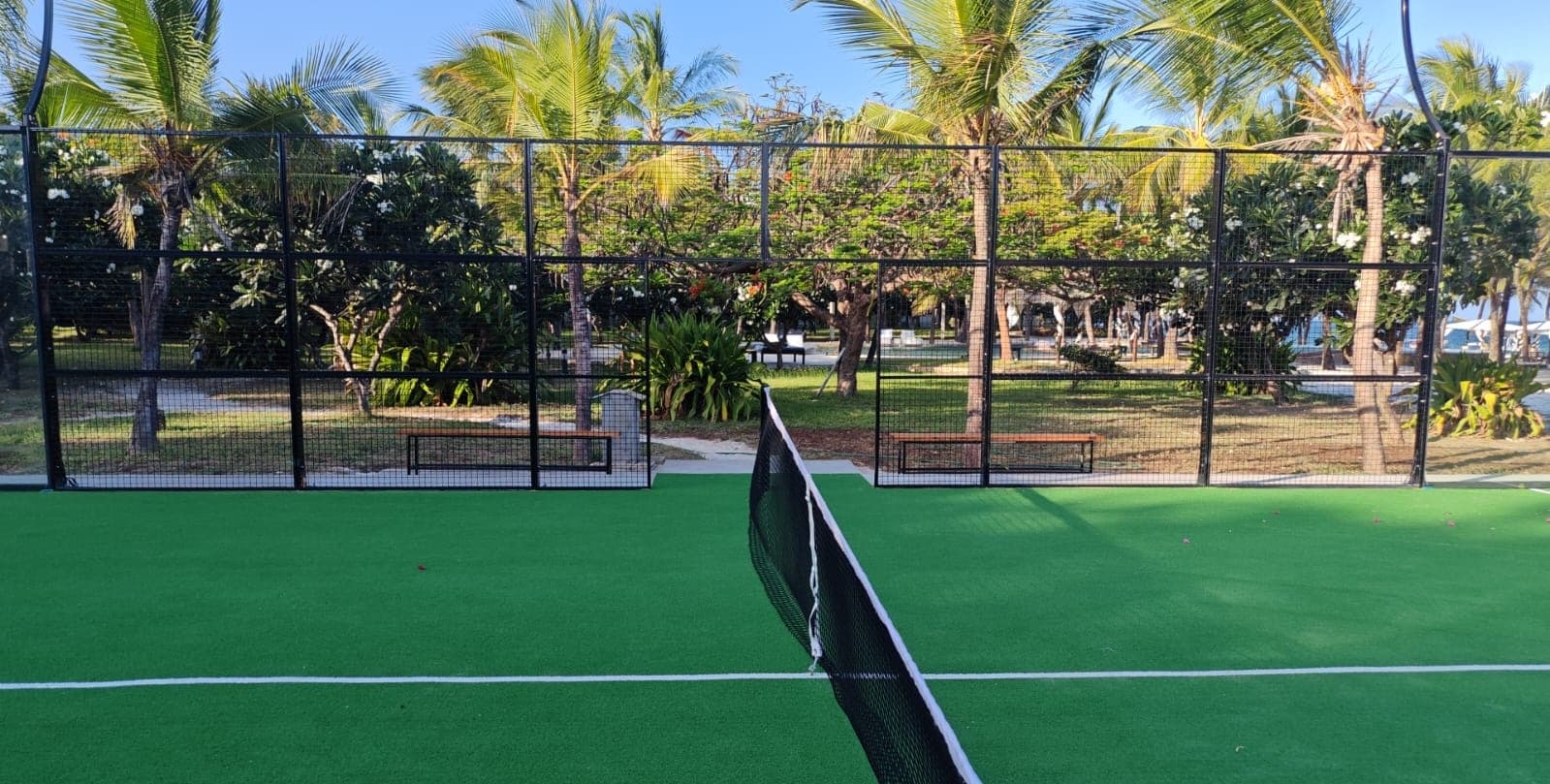 Billionaire Padel court, palm trees
