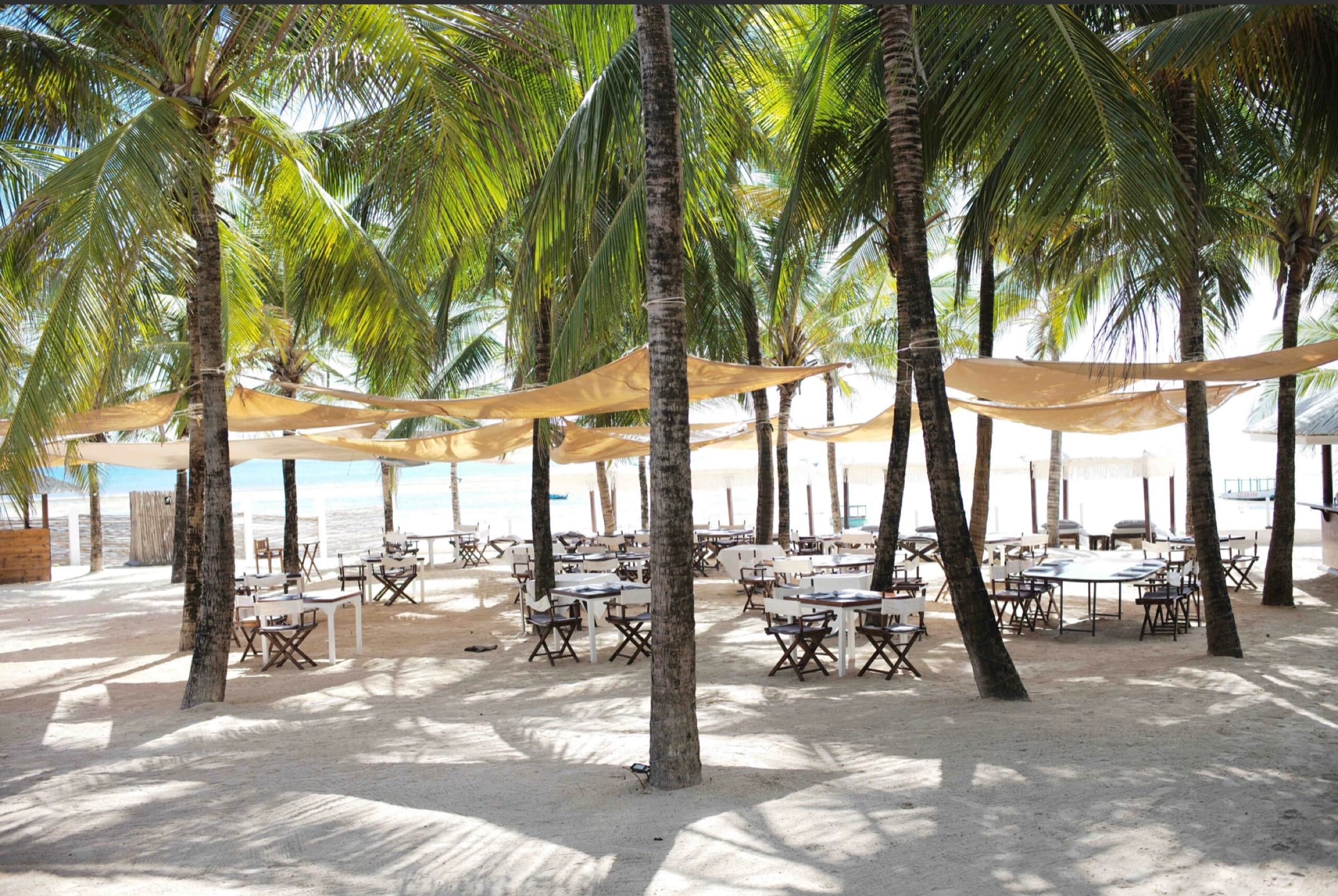 Palm-shaded beach restaurant at Billionaire Resort